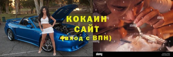 сатива Горнозаводск