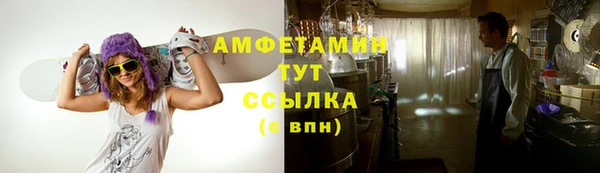 сатива Горнозаводск