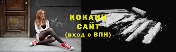 сатива Горнозаводск