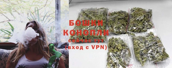 сатива Горнозаводск