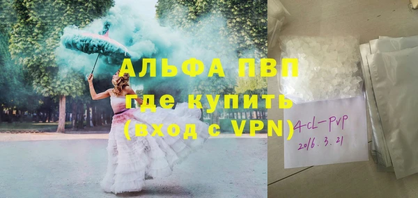 сатива Горнозаводск