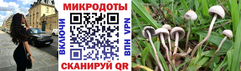 Галлюциногенные грибы GOLDEN TEACHER  Купить закладки  Канаш 